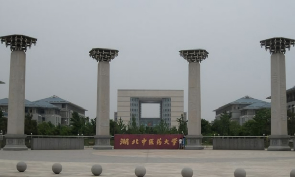 湖北中醫藥大學儀器（qì）設備采購